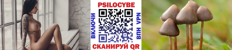 Галлюциногенные грибы мухоморы  закладка  Поронайск 